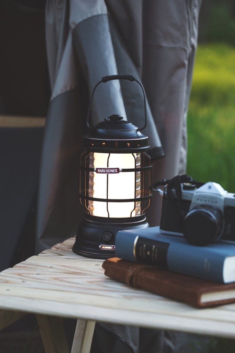 Barebones Forest lantern bronze