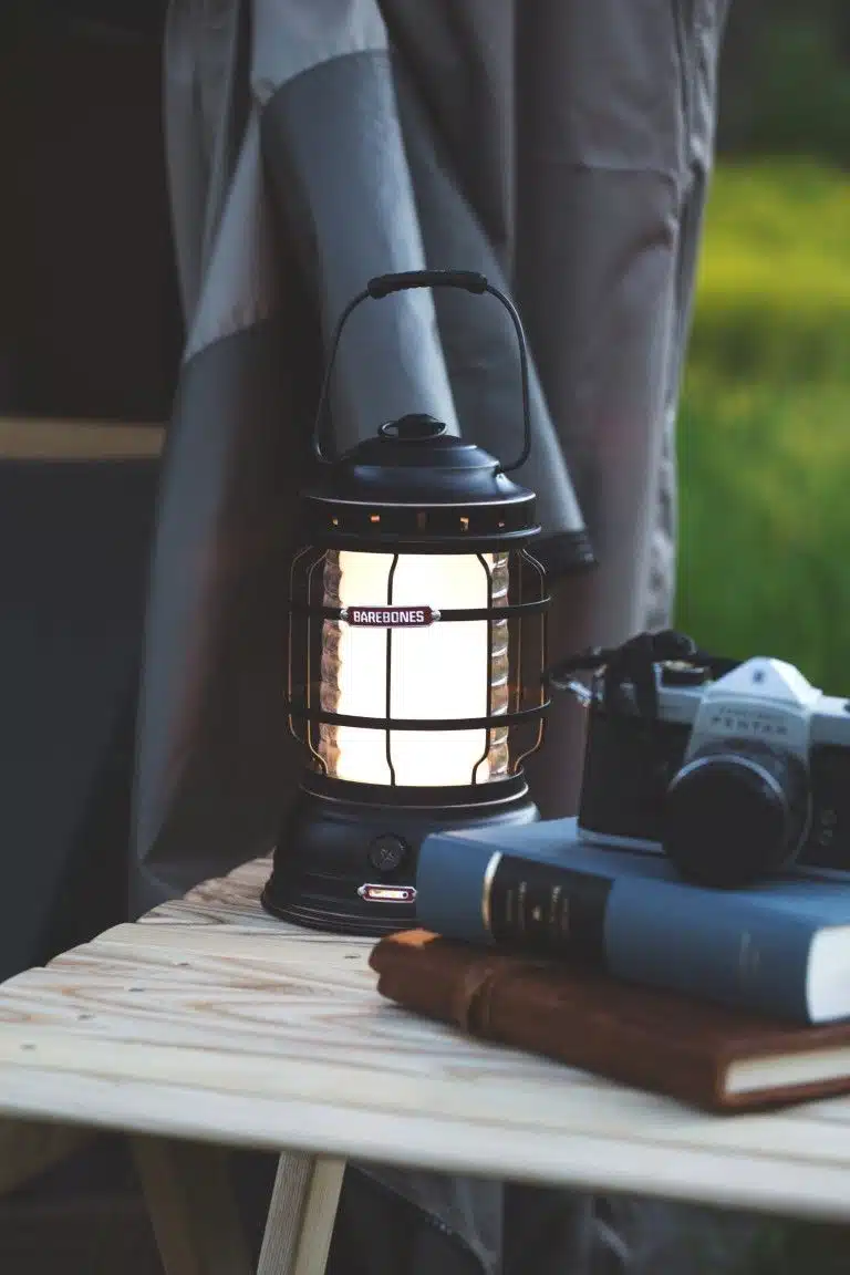 Barebones Forest lantern bronze