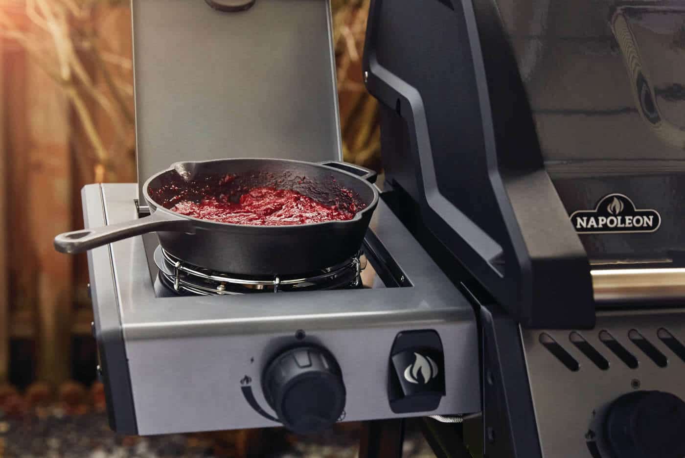 Napoleon Freestyle™ 425, 4 hoofdbranders, zijbrander en deur, zwart