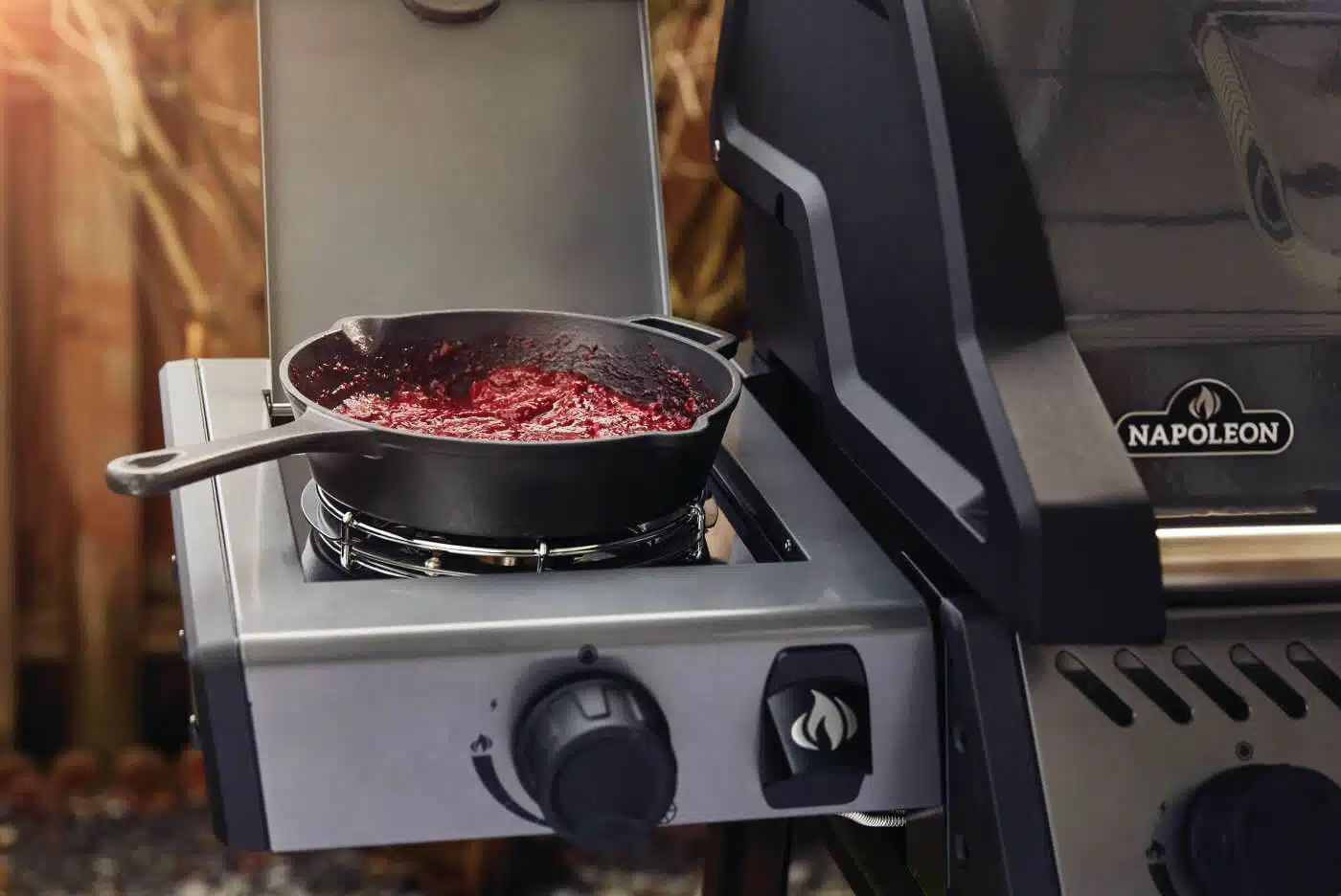 Napoleon Freestyle™ 425, 4 hoofdbranders, zijbrander en deur, zwart