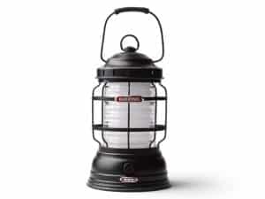 Barebones Forest lantern bronze