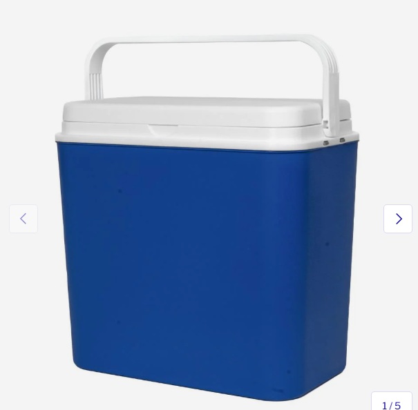 Koelbox 24 liter Benson